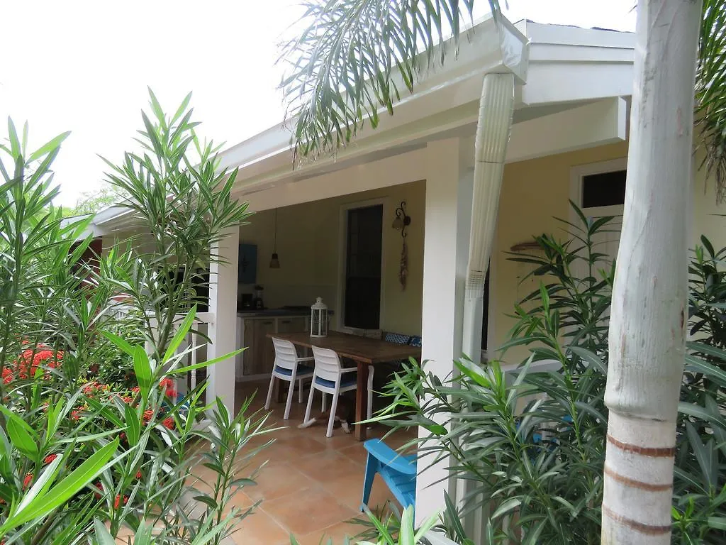 Bed & Breakfast Mangooz Guesthouse Oranjestad
