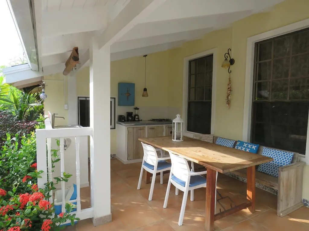 Mangooz Guesthouse Oranjestad